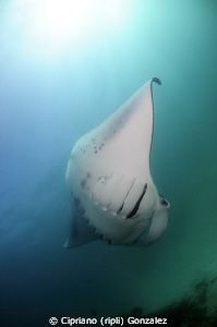 Manta magic atmosphere by Cipriano (ripli) Gonzalez 